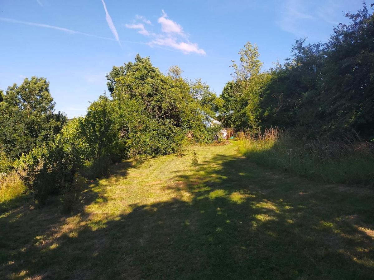 Tiny Messancy, Une Immersion Dans La Nature ! 外观 照片